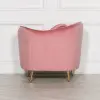 Arora Pink Velvet Armchair With Cushion With Cushion UK