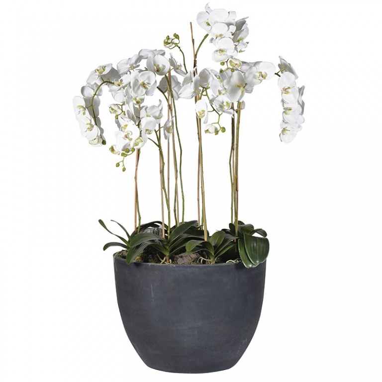 Dark Planter UK