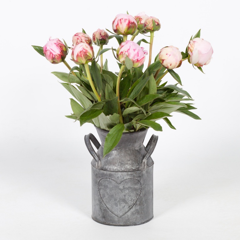 Jug (Copy) UK