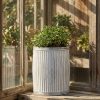 Olivia White Washed Metal Ribbed Round Dolly Tub Planter - Medium - Medium UK
