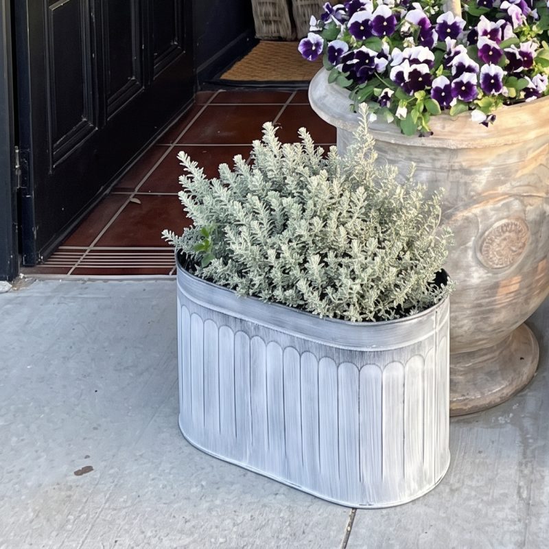 Alyvia Vintage Rustic Style Galvanised Metal Tin Arched Pattern Planter - Medium - Medium UK