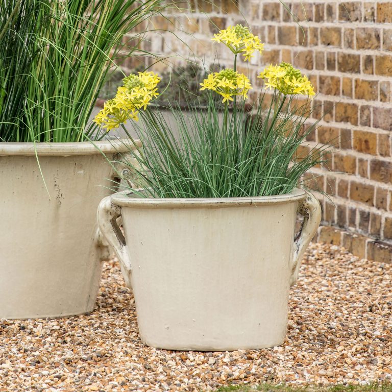 Oatmeal Planter UK