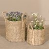 Set of 2 Seagrass Baskets With Plaited Handles Plaited Handles UK