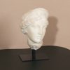 Bust Decor UK