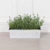 Planter (Copy) UK
