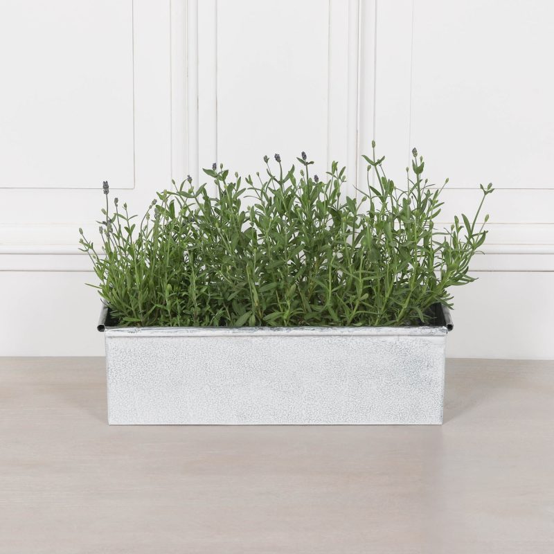 Planter (Copy) UK
