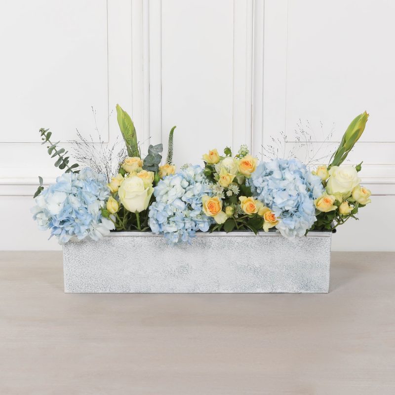 Planter (Copy) UK