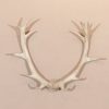 Wall Decor UK