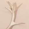 Wall Decor UK