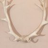 Wall Decor UK