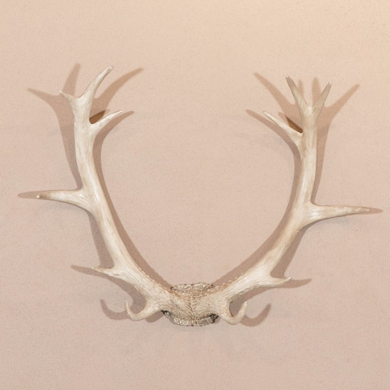 Wall Decor UK