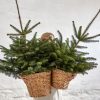 Set Of Water Hyacinth Baskets Hyacinth Baskets UK