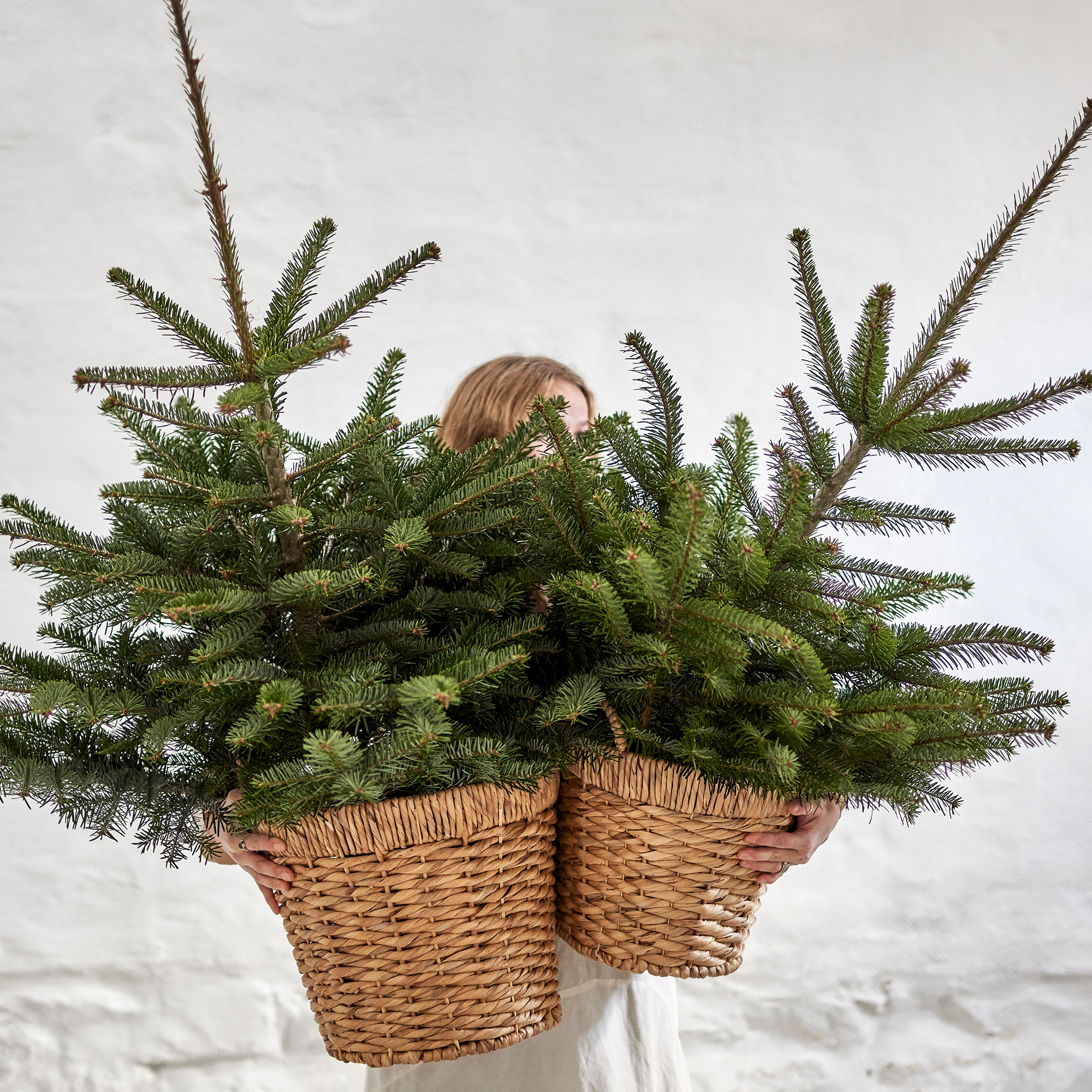 Hyacinth Baskets UK