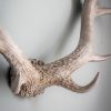 Wall Decor UK