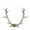 Wall Decor UK