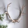 Wall Decor UK