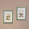 Set Of 40cm Green Frame Botanical Prints Botanical Prints UK