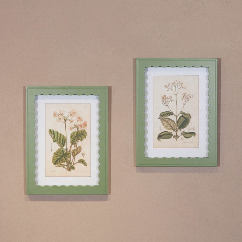 Set Of 40cm Green Frame Botanical Prints Botanical Prints UK