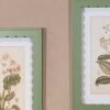 Set Of 40cm Green Frame Botanical Prints Botanical Prints UK