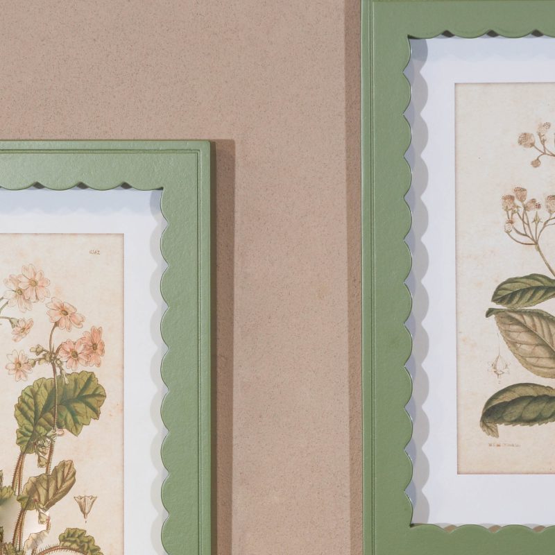 Set Of 40cm Green Frame Botanical Prints Botanical Prints UK