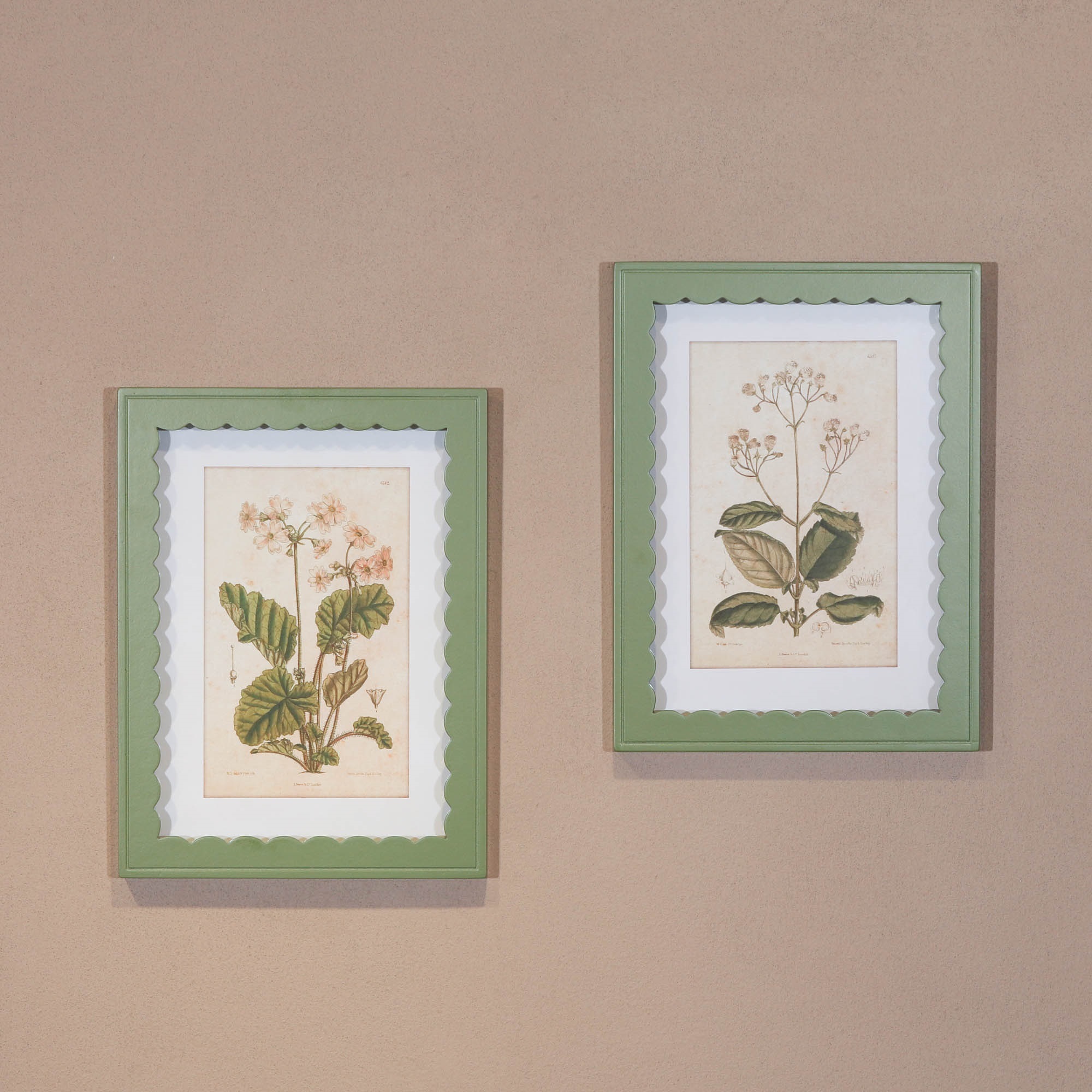 Botanical Prints UK