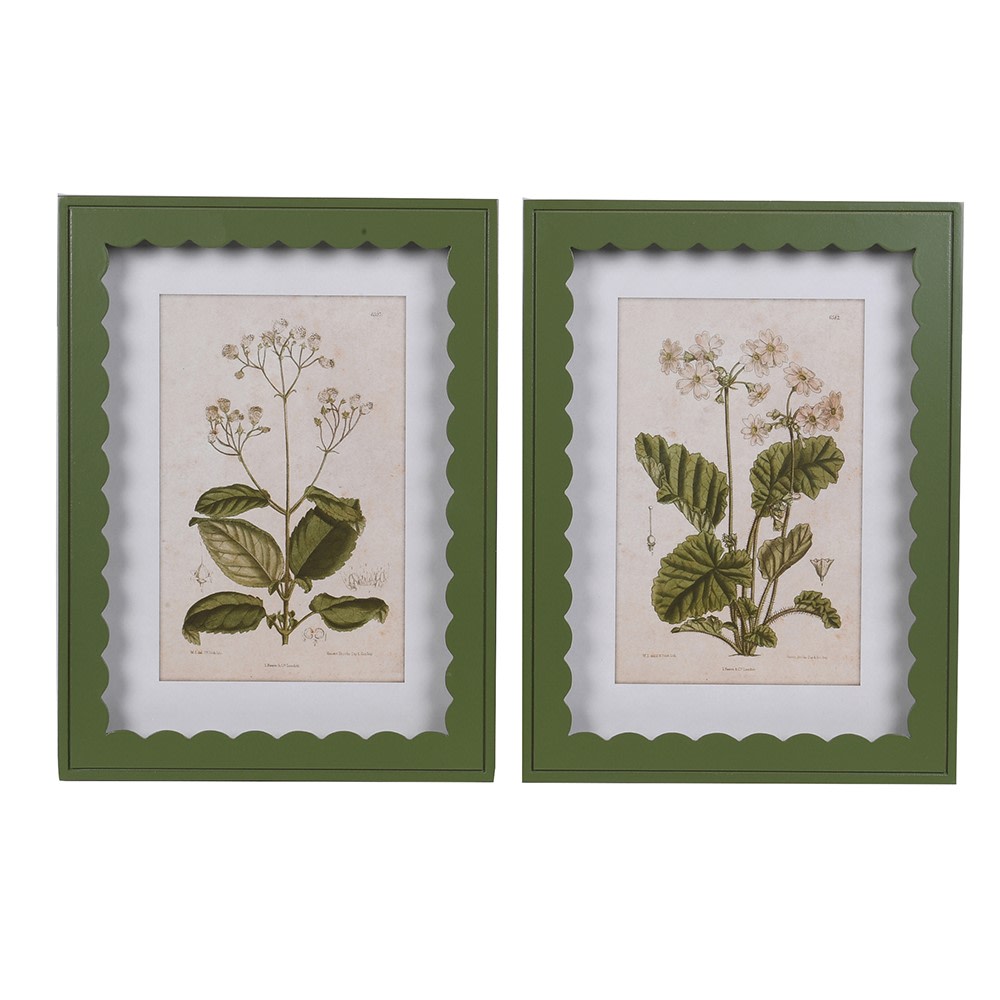 Botanical Prints UK