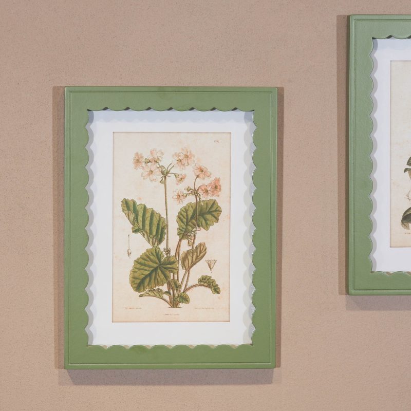 Set Of 40cm Green Frame Botanical Prints Botanical Prints UK