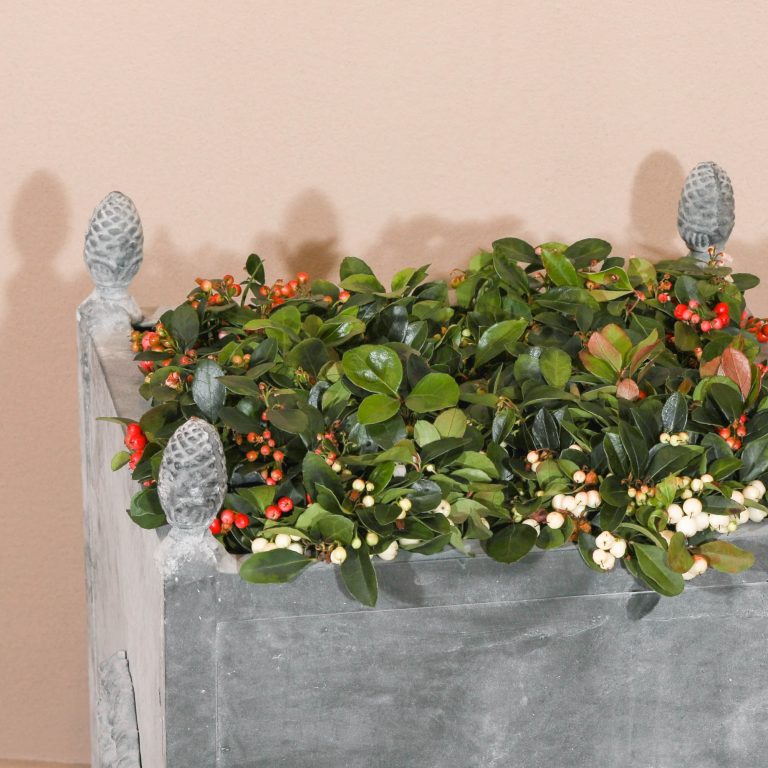Iron Planter UK