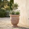 Large Planter UK