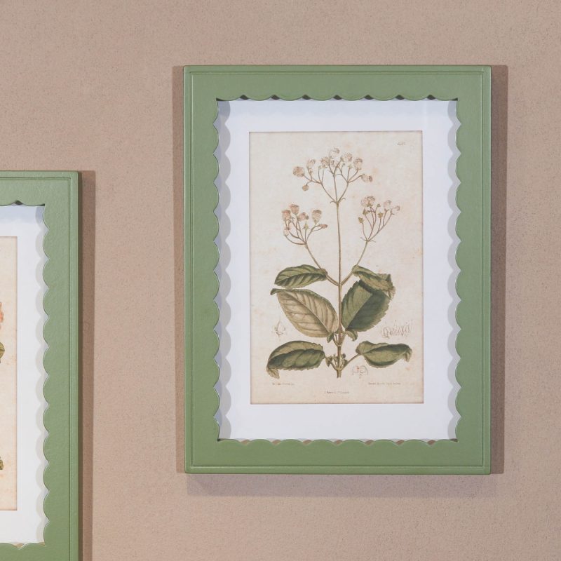 Set Of 40cm Green Frame Botanical Prints Botanical Prints UK