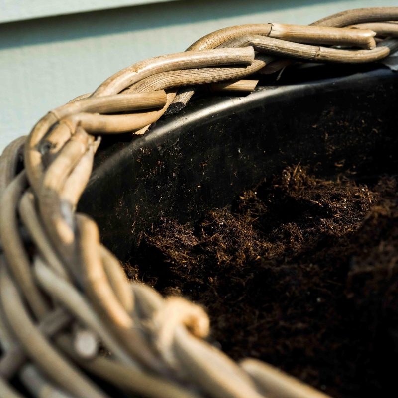 Set Of Three Grey Rattan Planters by Garden Trading Garden Trading UK