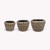 Set Of Three Grey Rattan Planters by Garden Trading Garden Trading UK
