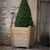 60cm Planter UK