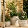 28.5cm Planter UK