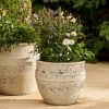 40.5cm Planter UK