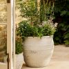 53.5cm Planter UK