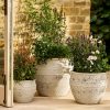 53.5cm Planter UK