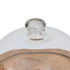 Mango Wood Cheese Dome Cheese Dome UK