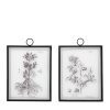 Four Framed Ferns Prints (Copy) Prints (Copy) UK
