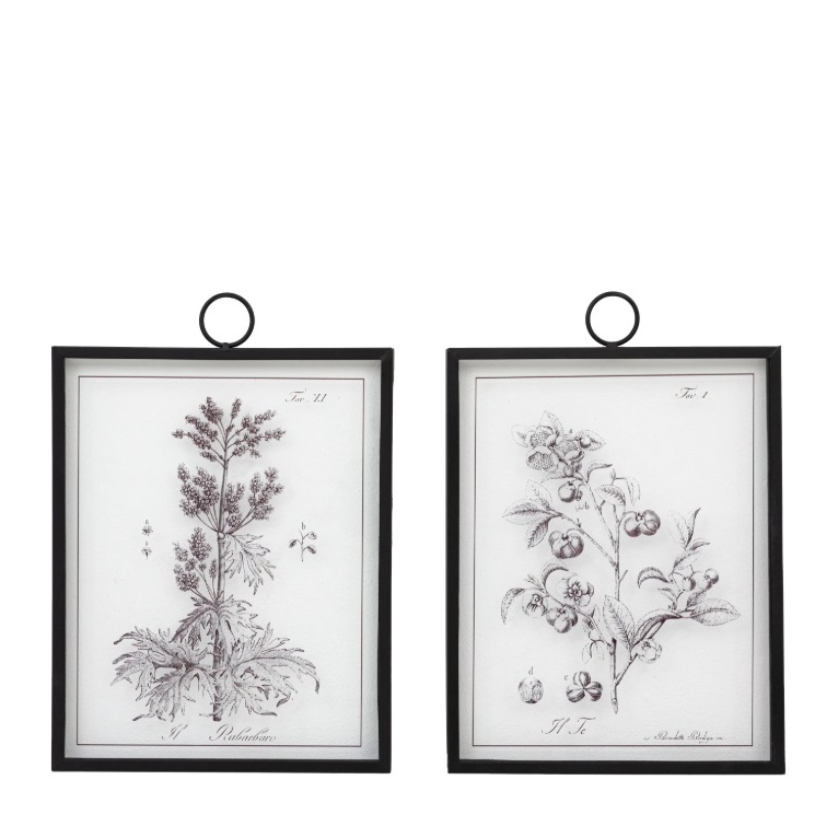 Four Framed Ferns Prints (Copy) Prints (Copy) UK