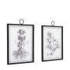Four Framed Ferns Prints (Copy) Prints (Copy) UK