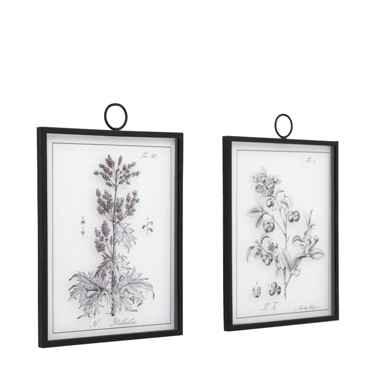 Four Framed Ferns Prints (Copy) Prints (Copy) UK
