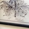 Four Framed Ferns Prints (Copy) Prints (Copy) UK