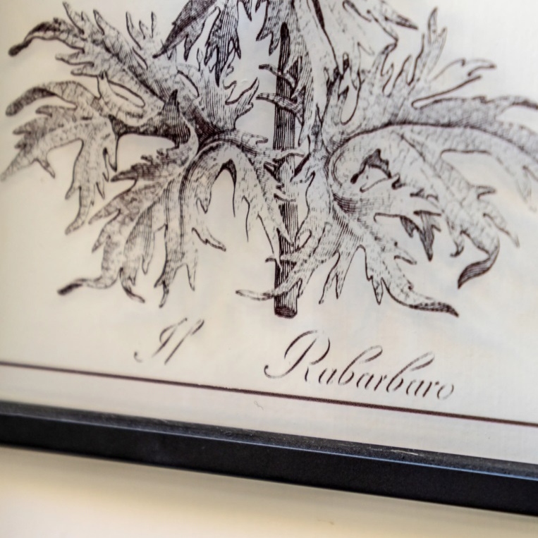 Four Framed Ferns Prints (Copy) Prints (Copy) UK