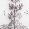 Four Framed Ferns Prints (Copy) Prints (Copy) UK
