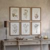 Set Of Six Botanical Framed Prints Framed Prints UK