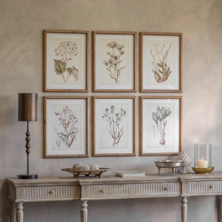 Set Of Six Botanical Framed Prints Framed Prints UK