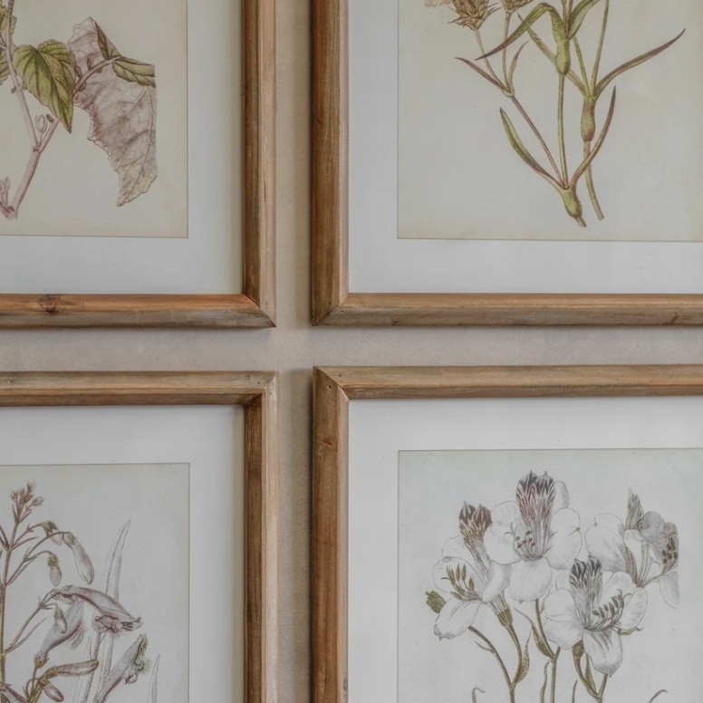 Set Of Six Botanical Framed Prints Framed Prints UK