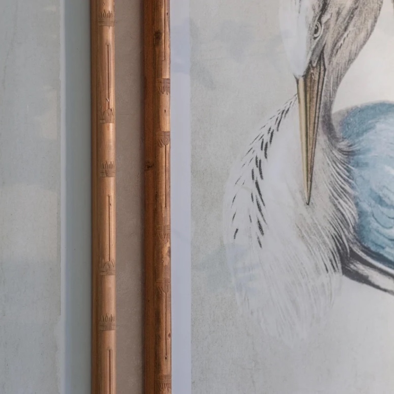 Set Of Two Framed Blue Birds Prints Birds Prints UK