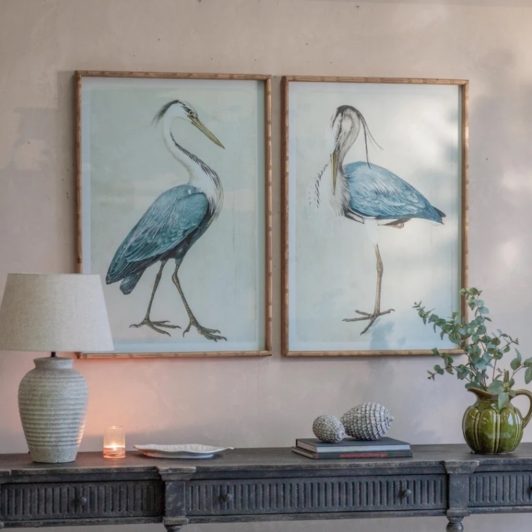Set Of Two Framed Blue Birds Prints Birds Prints UK